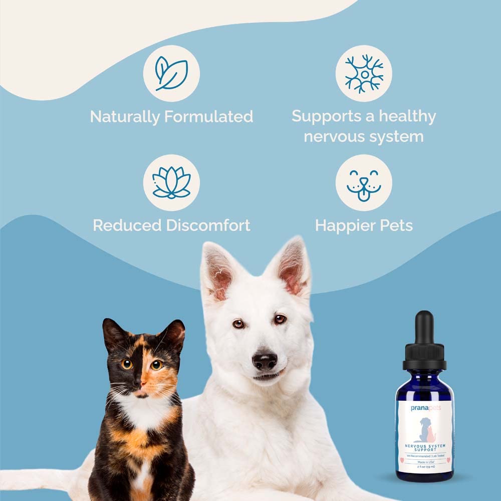 Herbal Formula for Dogs and Cats 2 Pack R9220