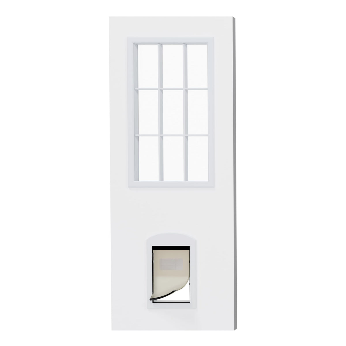 36"x 80" 9-Lite Clear Glass Exterior Door P628