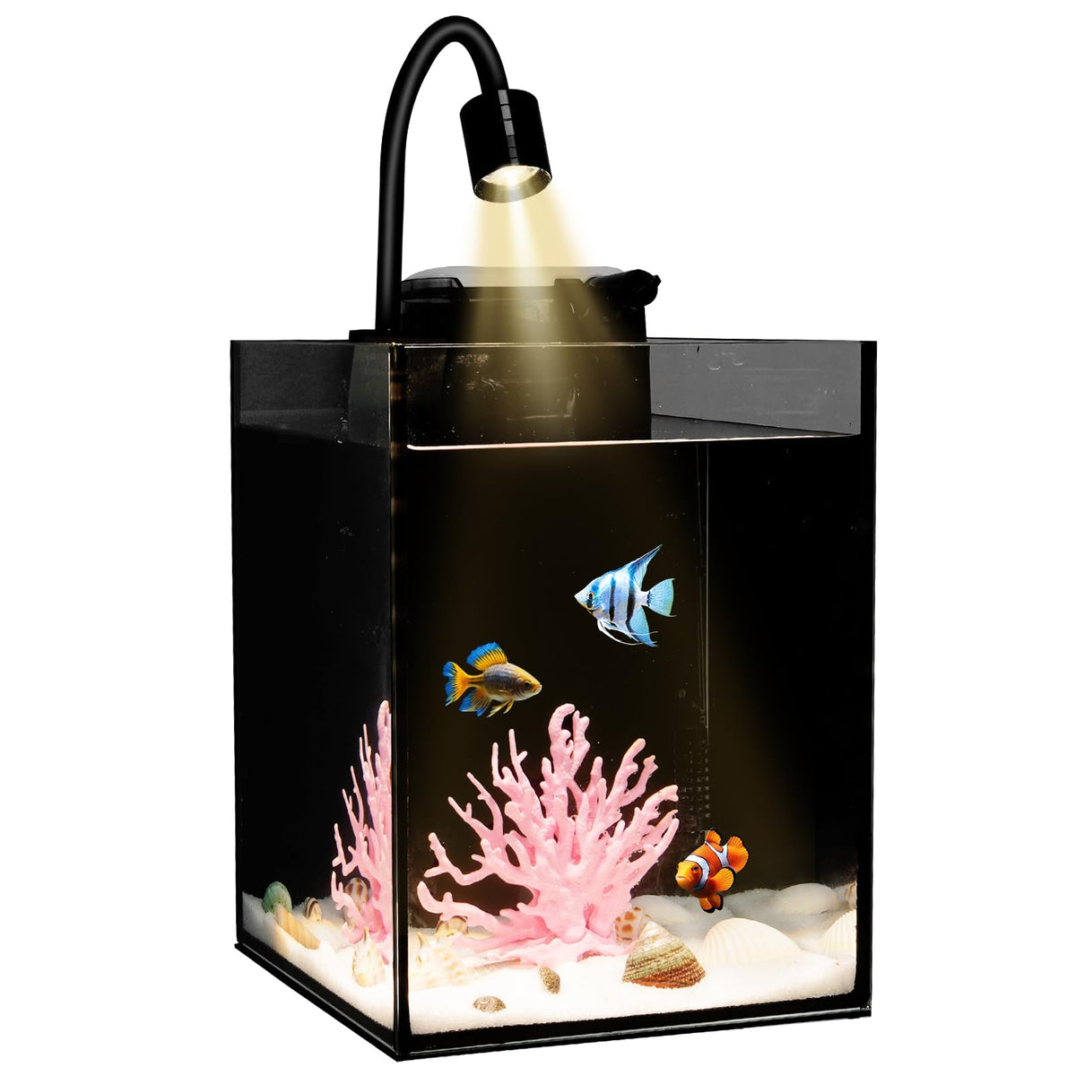 1.2 Gallon Rimless Glass Aquarium Tank Kit with Filter V255648