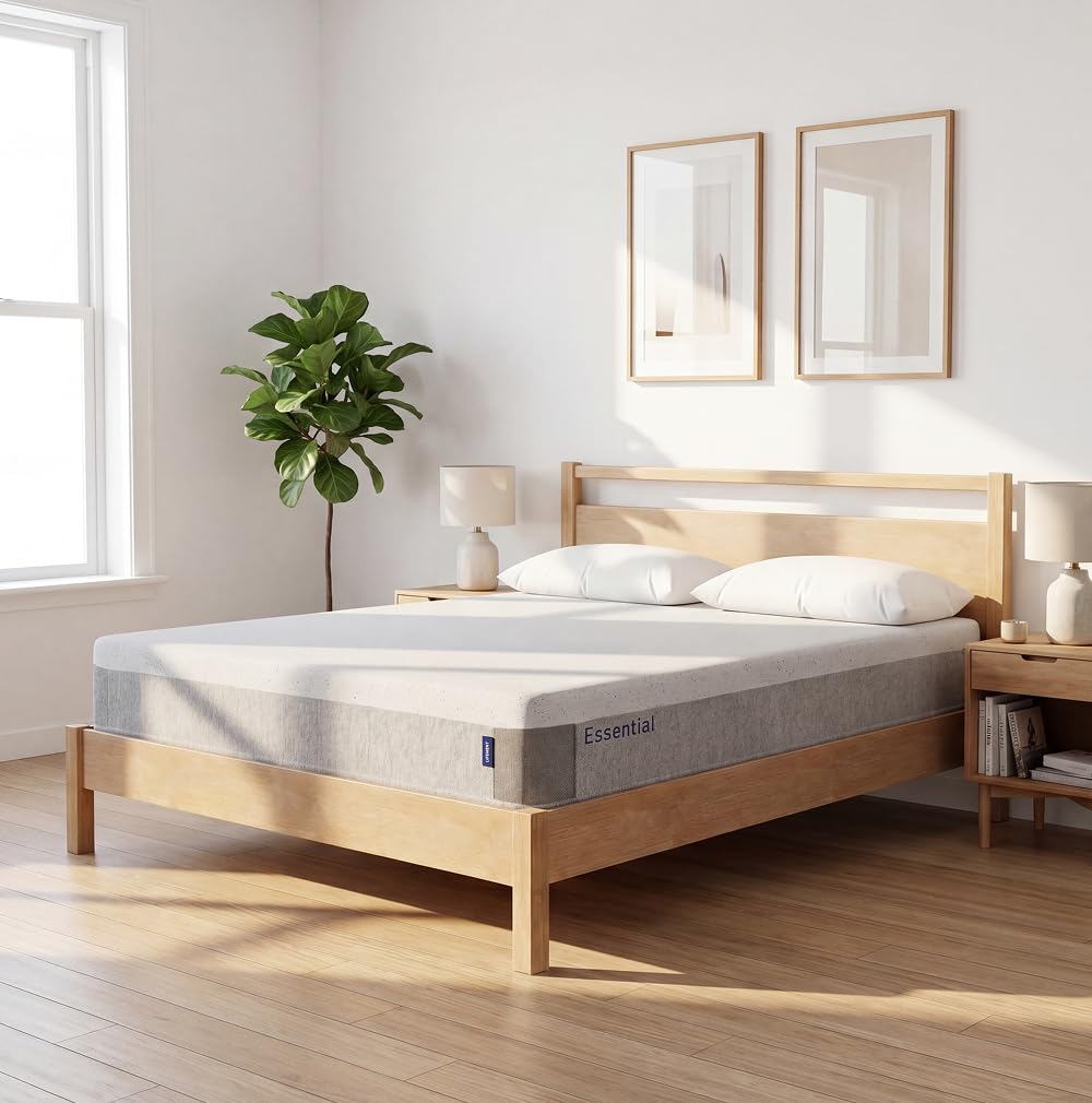 6 Inch Memory Foam Mattress D94114