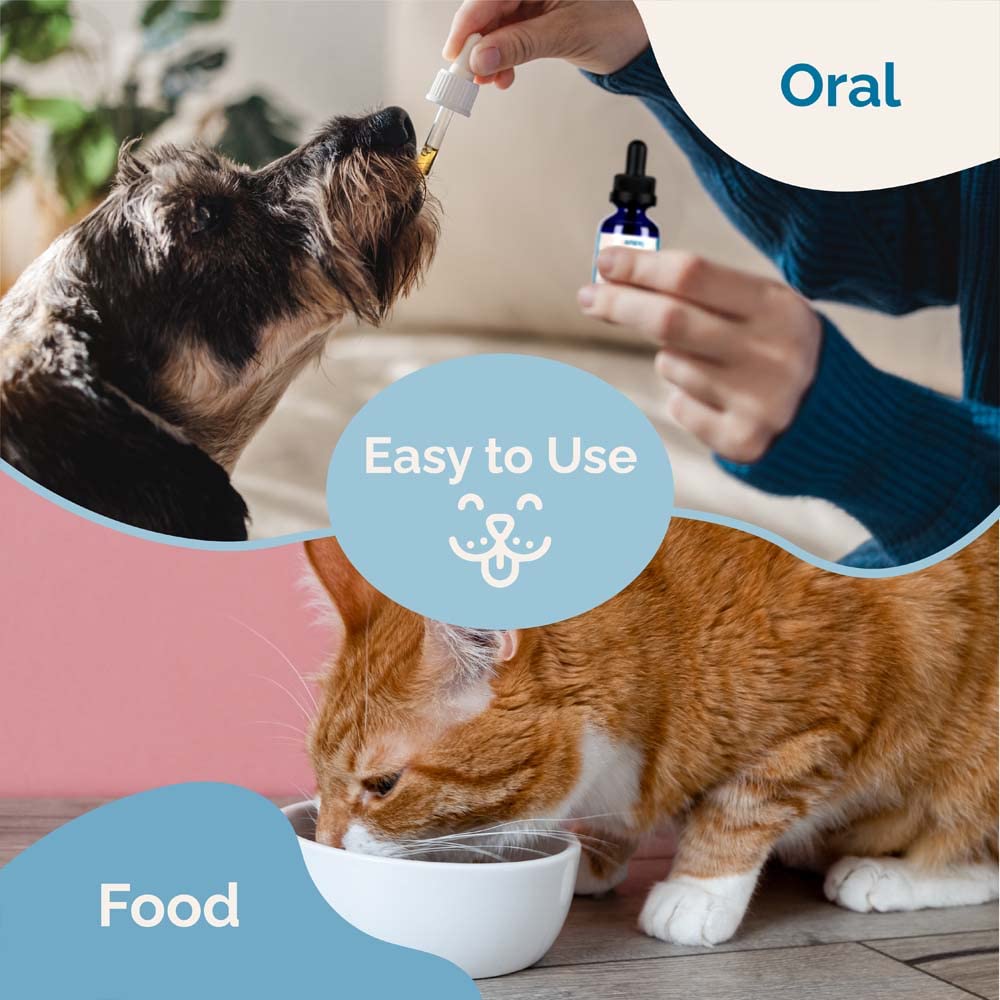 Herbal Formula for Dogs and Cats 2 Pack R9220
