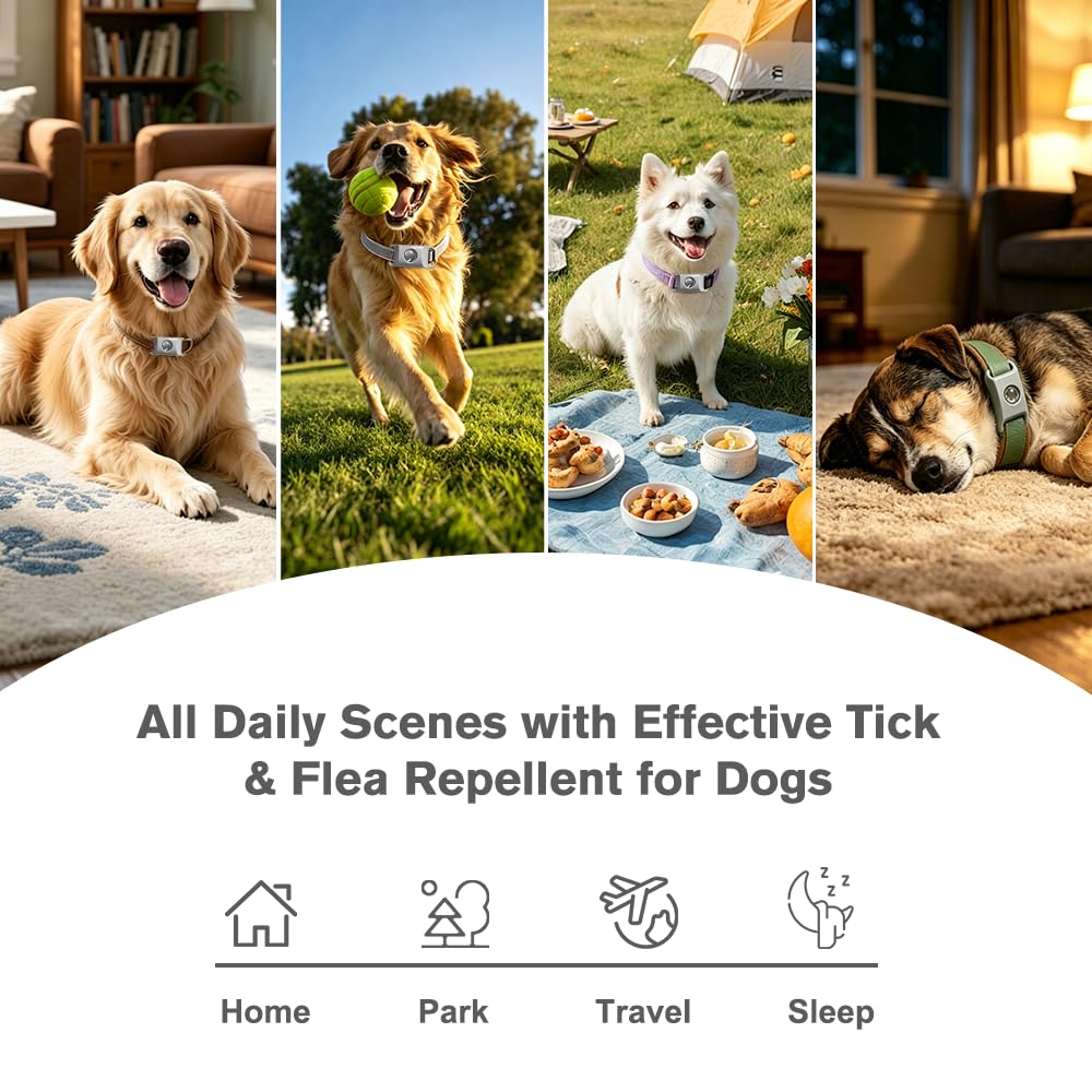 Flea and Tick Pendant for Dogs with 2 Silicone Buckles 4 Refills E80149