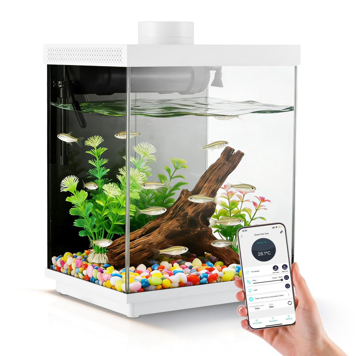 3 Gallon Glass Fish Tank Aquarium Kit with APP Control A9328