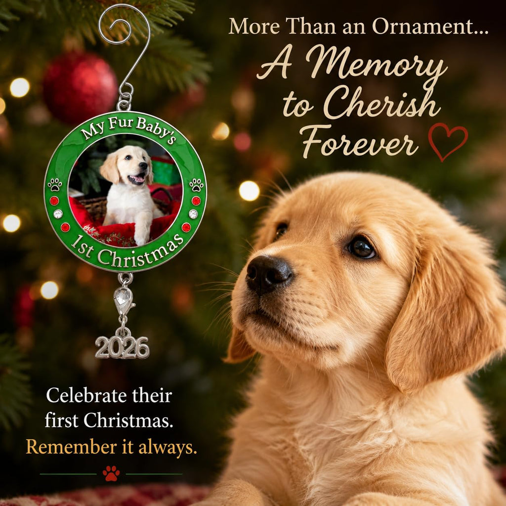 Dog Christmas Photo Ornament 3-Pack 3 Inch S3446