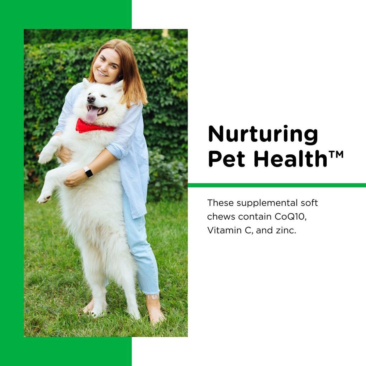 Dogs Teeth Cleaning Soft Chews 70 Count M995407