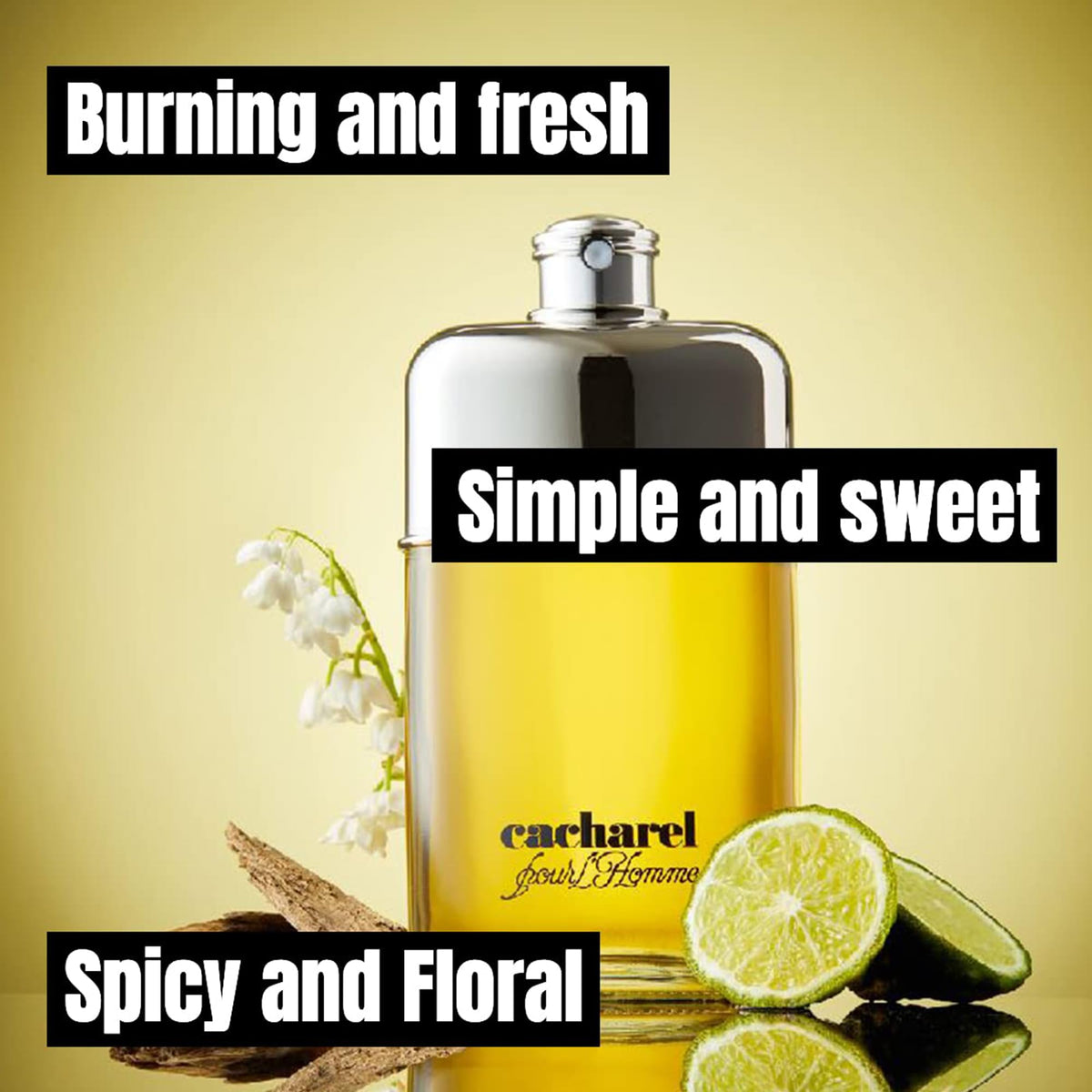 Eau de Toilette Cologne 3.4 Fl Oz J964979