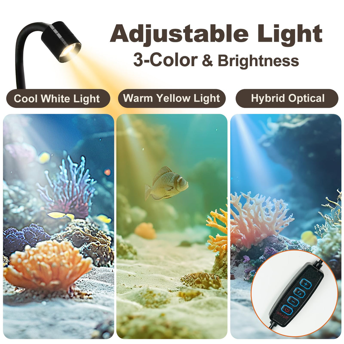1.2 Gallon Rimless Glass Aquarium Tank Kit with Filter V255648