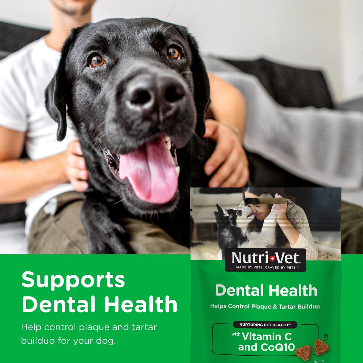 Dogs Teeth Cleaning Soft Chews 70 Count M995407