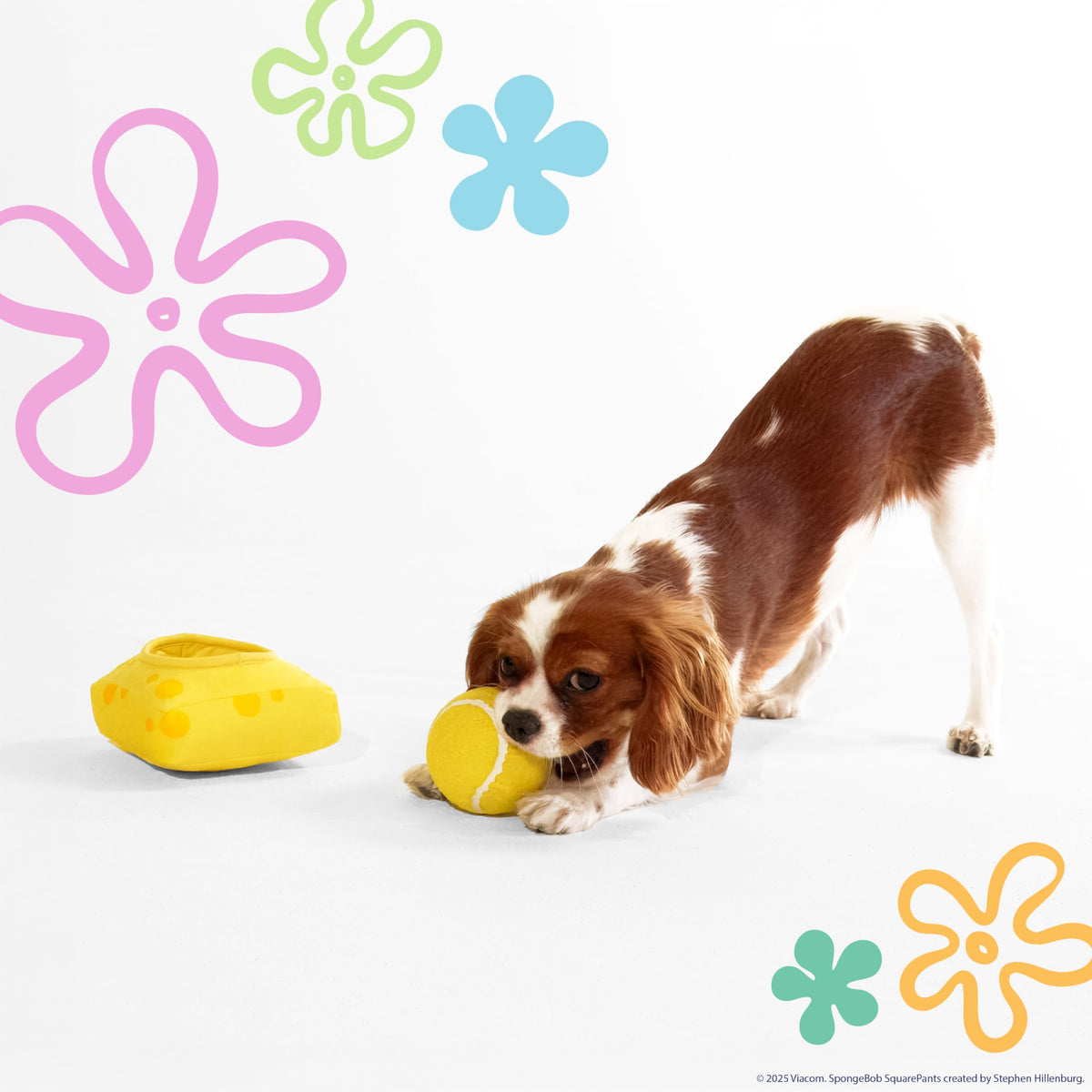 Squeaky Plush Dog Toys 2-Pack K44663