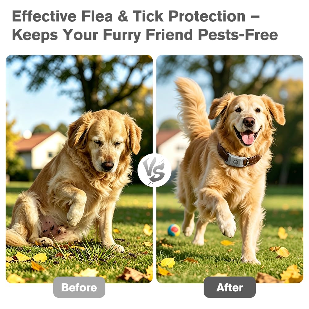 Flea and Tick Pendant for Dogs with 2 Silicone Buckles 4 Refills E80149