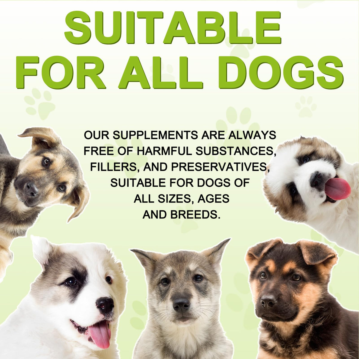 180 Chewable Milk Thistle Tablets for Dogs H50147