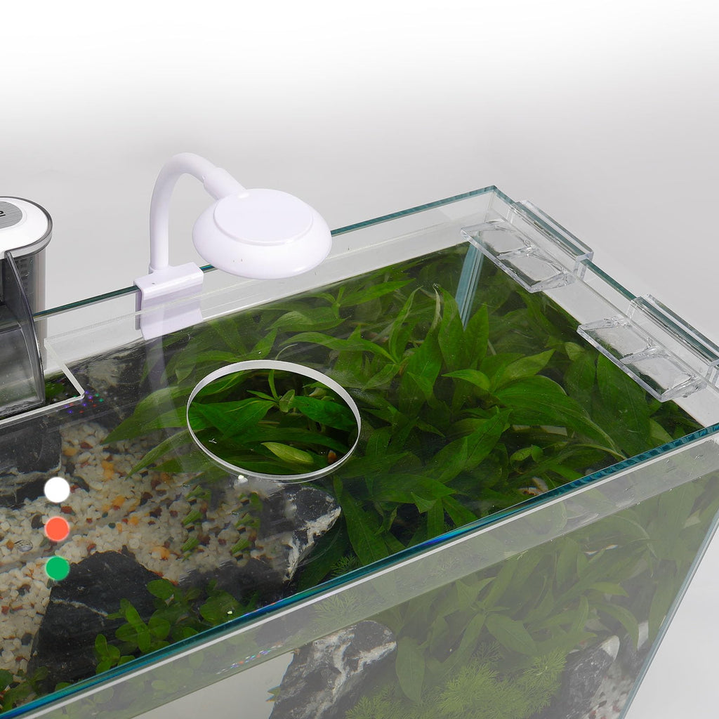 3 Gallon Glass Fish Tank Starter Kit with Filter L67761