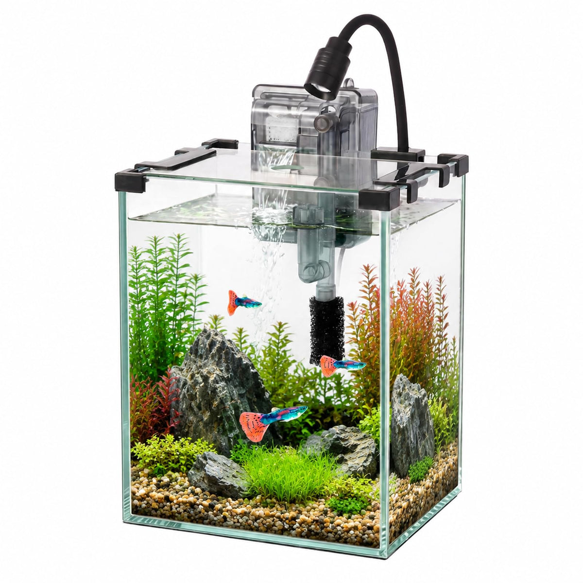 2.2 Gallon Glass Fish Tank Kit U68815