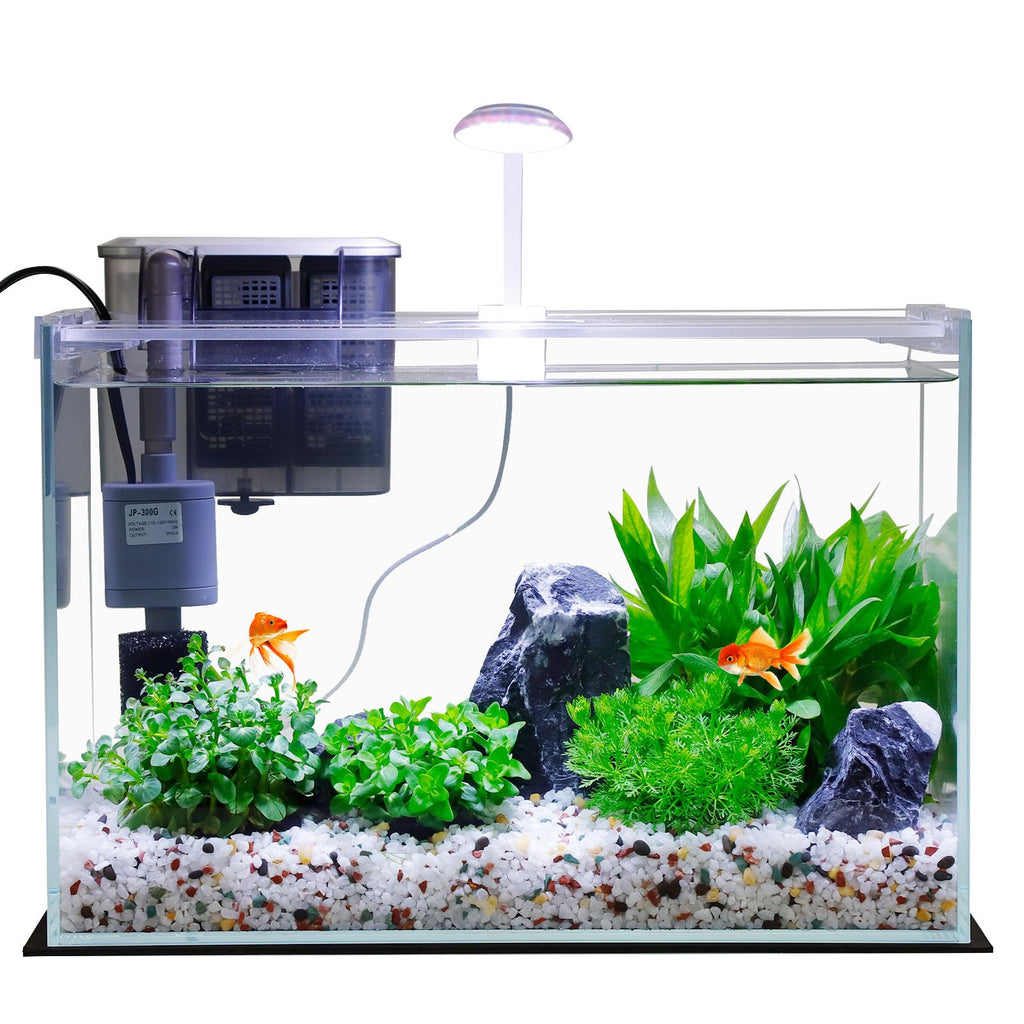 3 Gallon Glass Fish Tank Starter Kit with Filter L67761