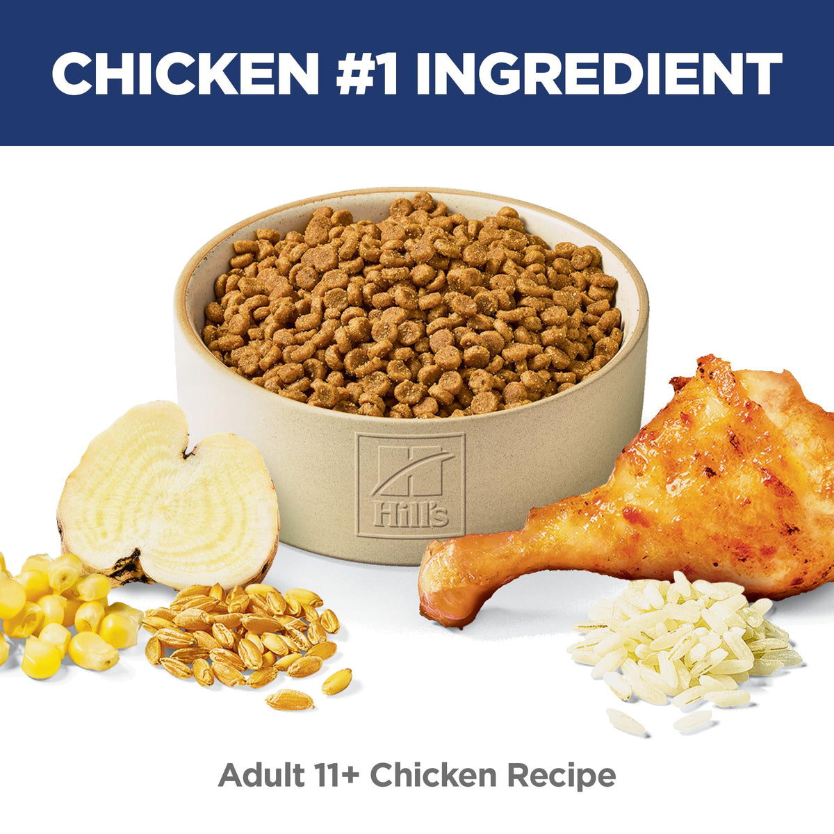 Dry Cat Food B737189