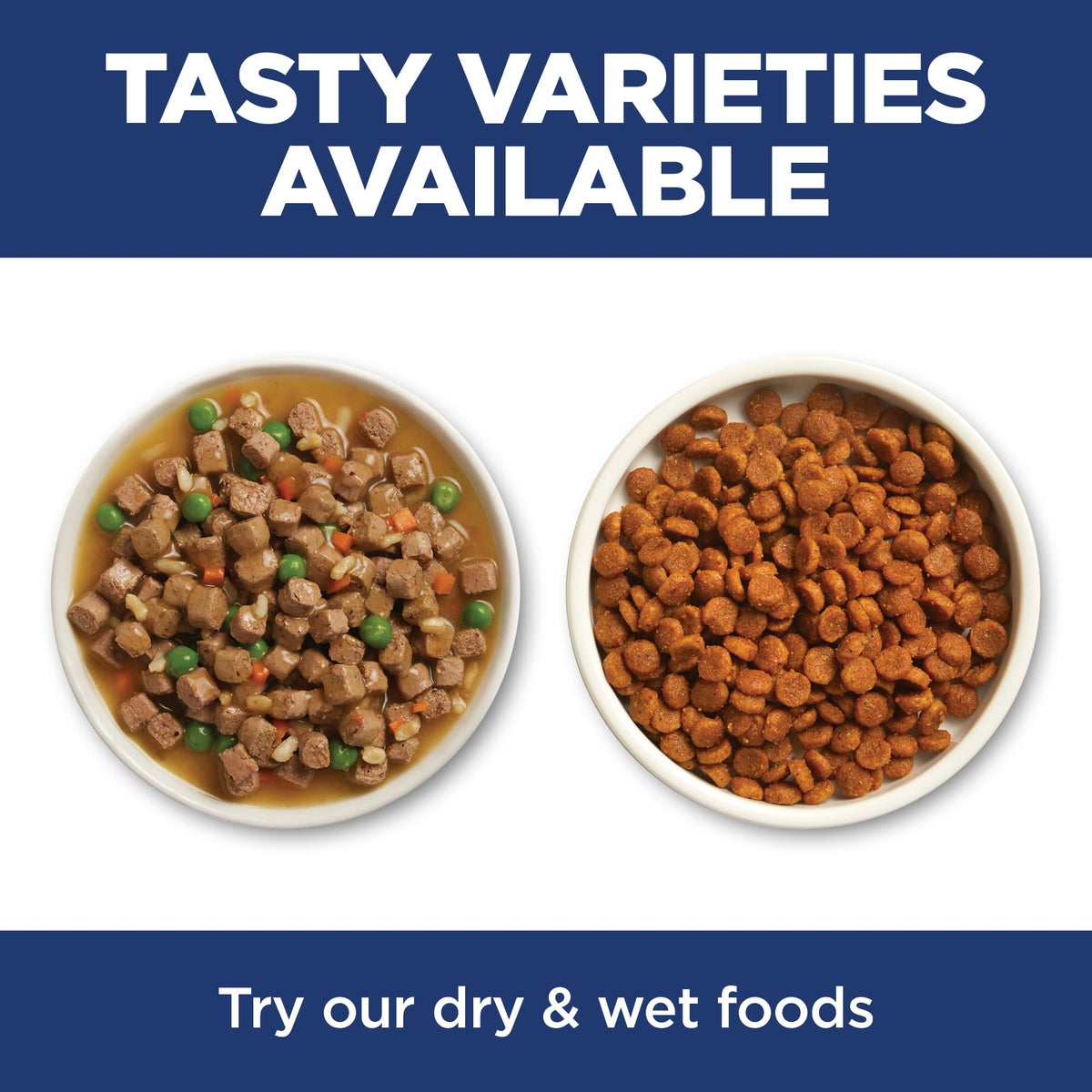 Dry Cat Food B737189