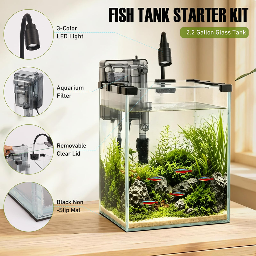 2.2 Gallon Glass Fish Tank Kit U68815