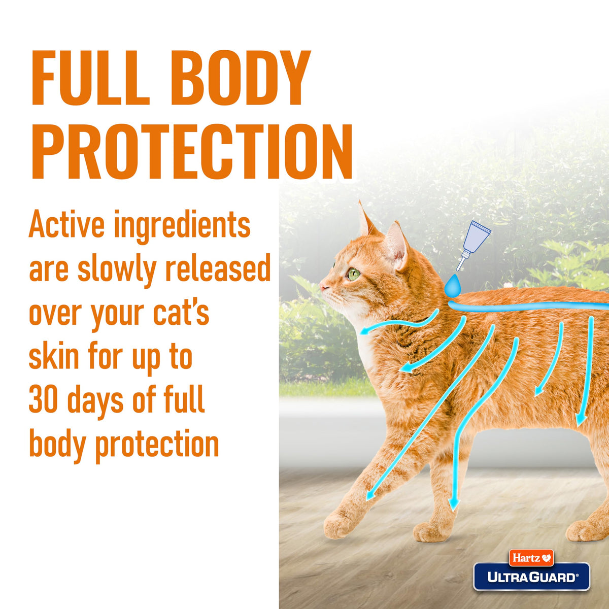 Flea & Tick Prevention for Cats and Kittens - 3 Monthly Treatments W95720
