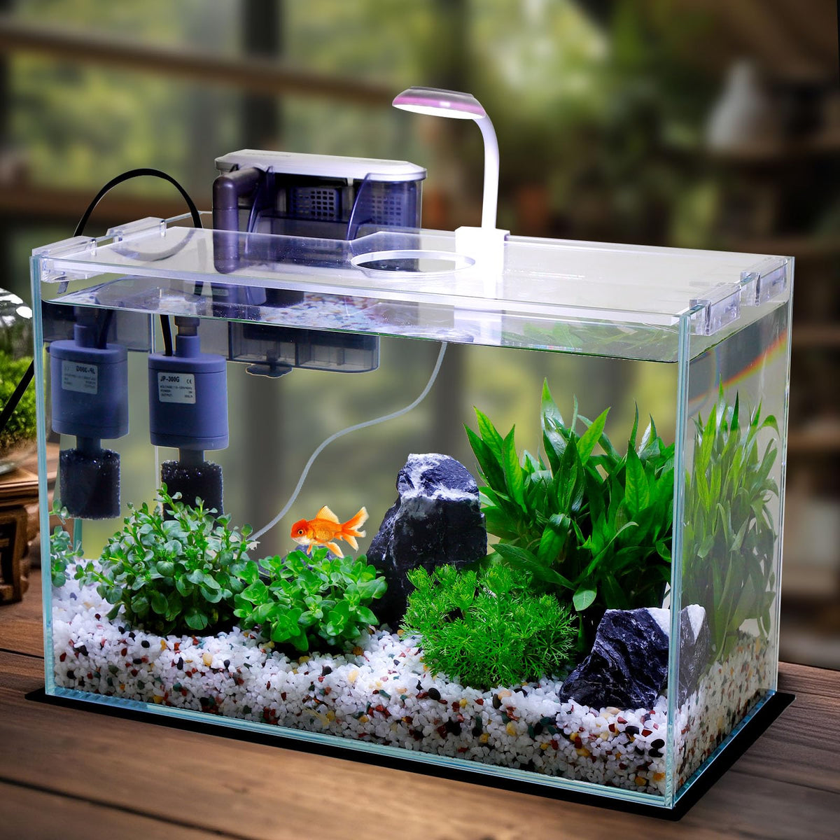 3 Gallon Glass Fish Tank Starter Kit with Filter L67761