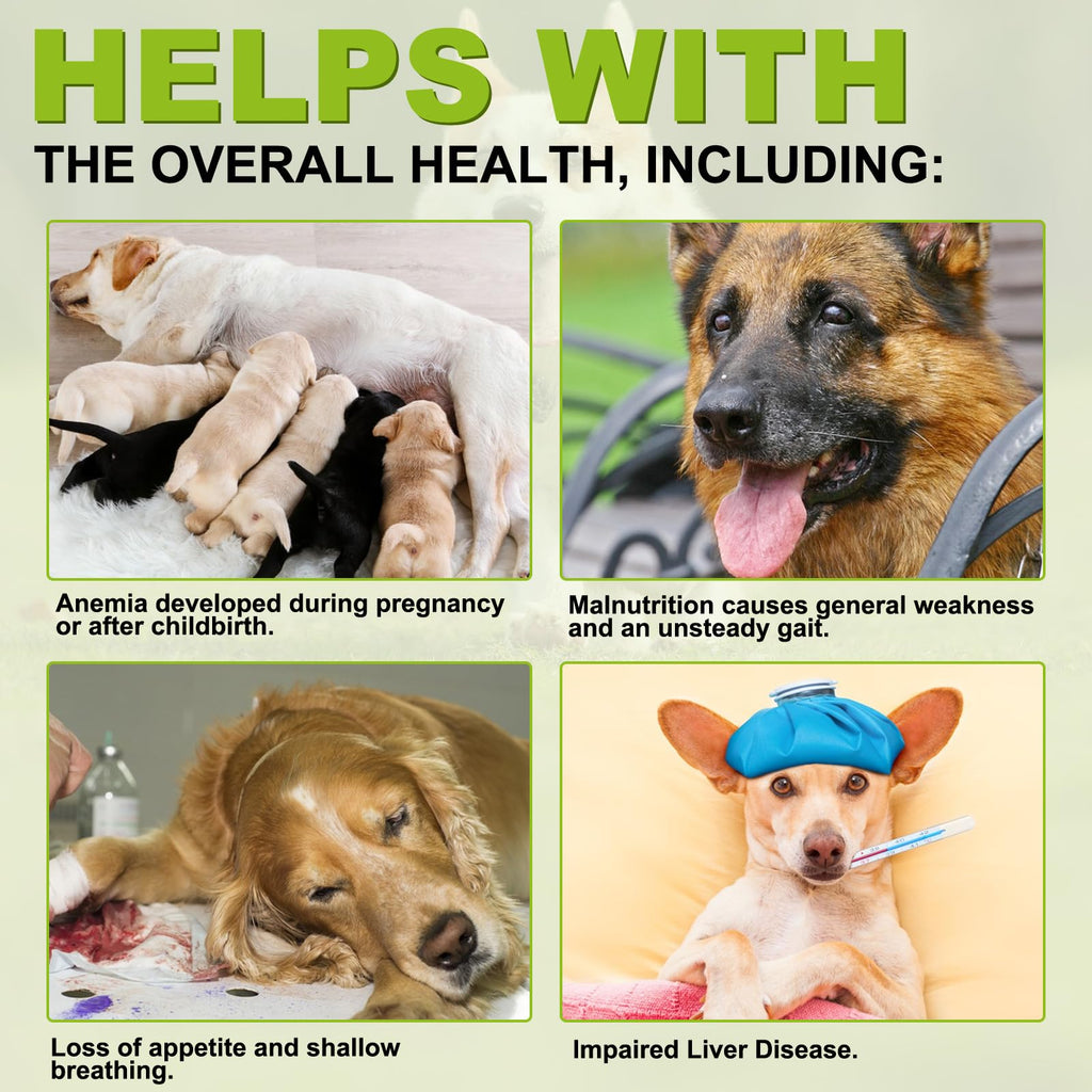 180 Chewable Milk Thistle Tablets for Dogs H50147