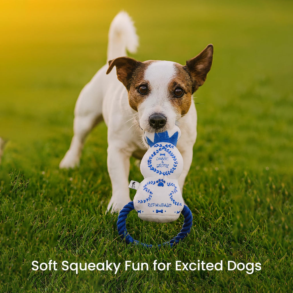 Plush Squeaky Crinkle Dog Toy E2528
