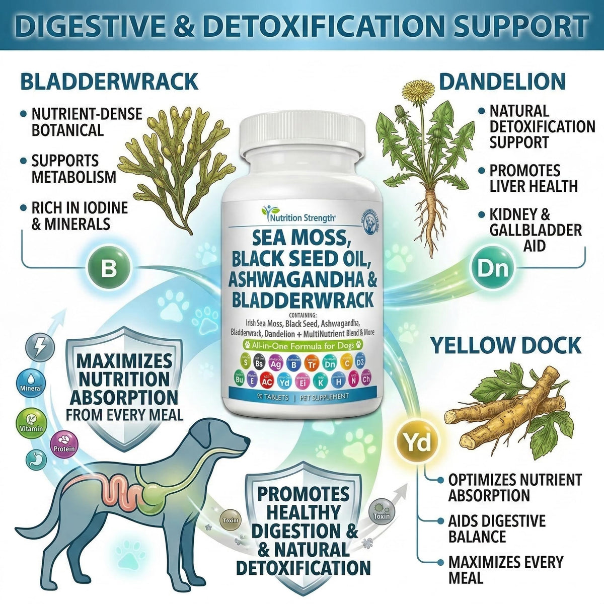 Sea Moss for Dogs L415
