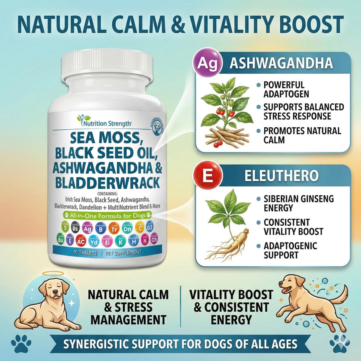 Sea Moss for Dogs L415