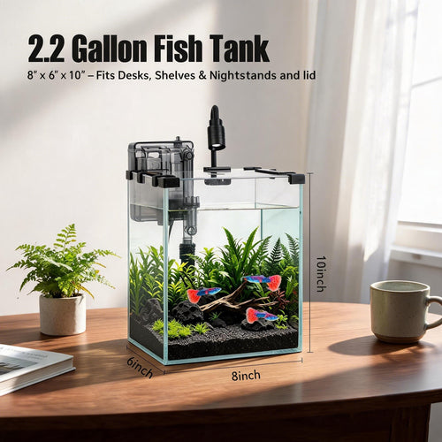 2.2 Gallon Glass Fish Tank Kit U68815
