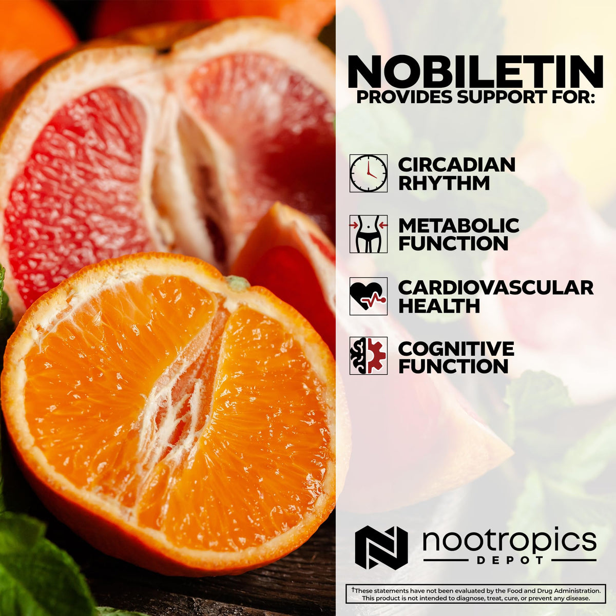 250mg 30 Count Nobiletin Capsules L168