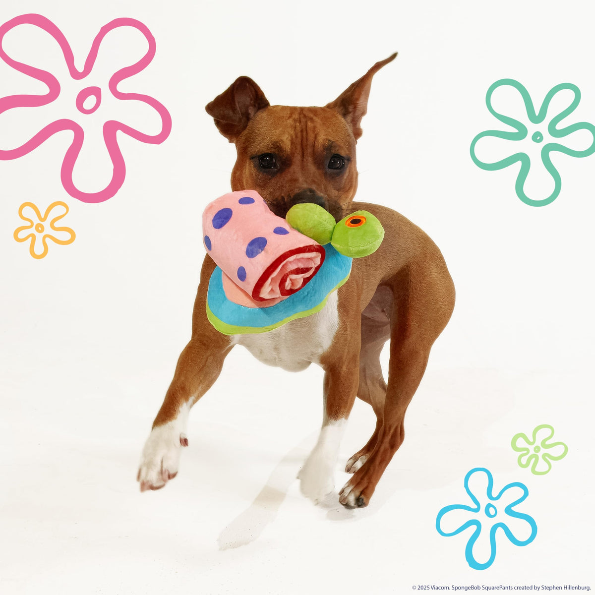 Squeaky Plush Dog Toys 2-Pack K44663