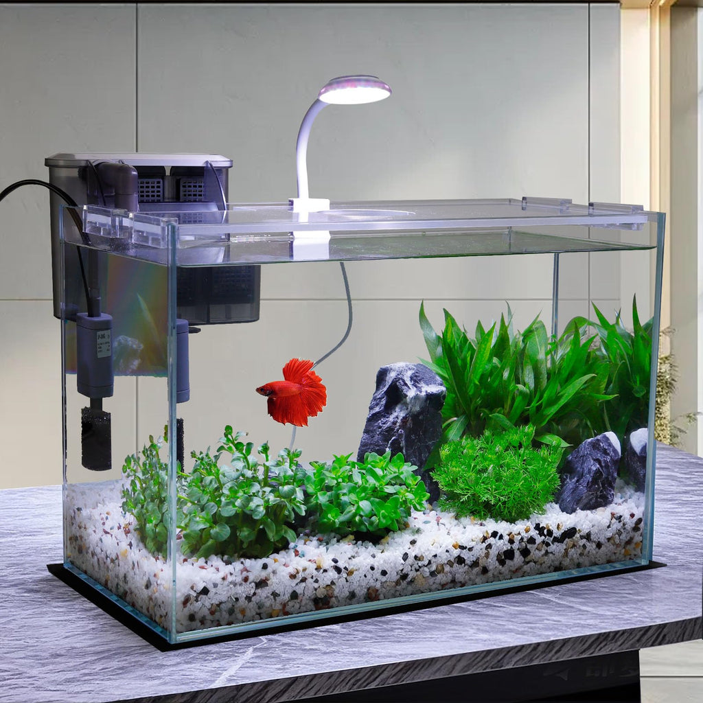 3 Gallon Glass Fish Tank Starter Kit with Filter L67761
