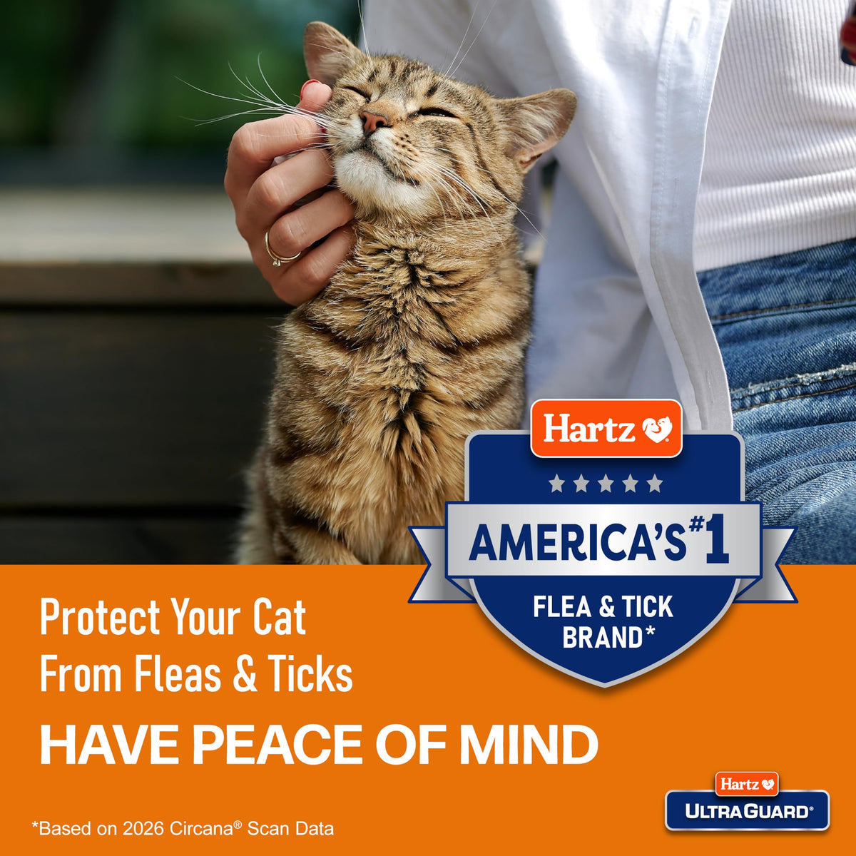 Flea & Tick Prevention for Cats and Kittens - 3 Monthly Treatments W95720