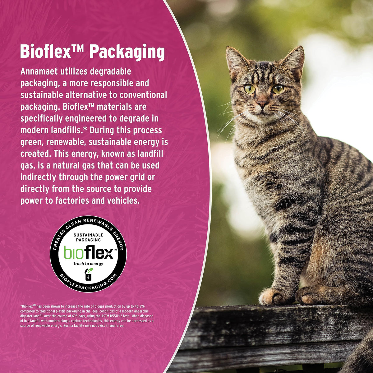 Grain-Free Chicken & Fish Dry Cat Food 12-lb Bag K855